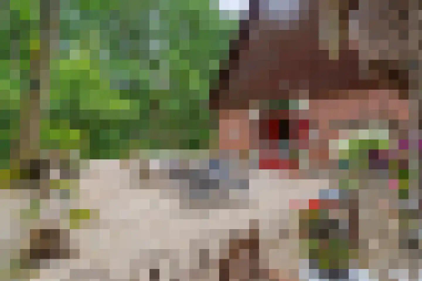 Brandemolen 18 Arcen thumbnail 5