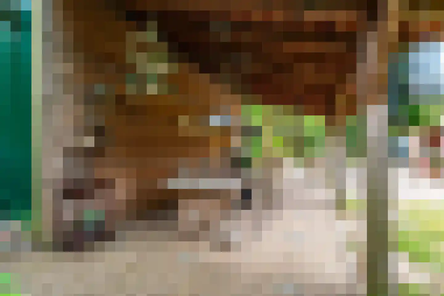 Brandemolen 18 Arcen thumbnail 6