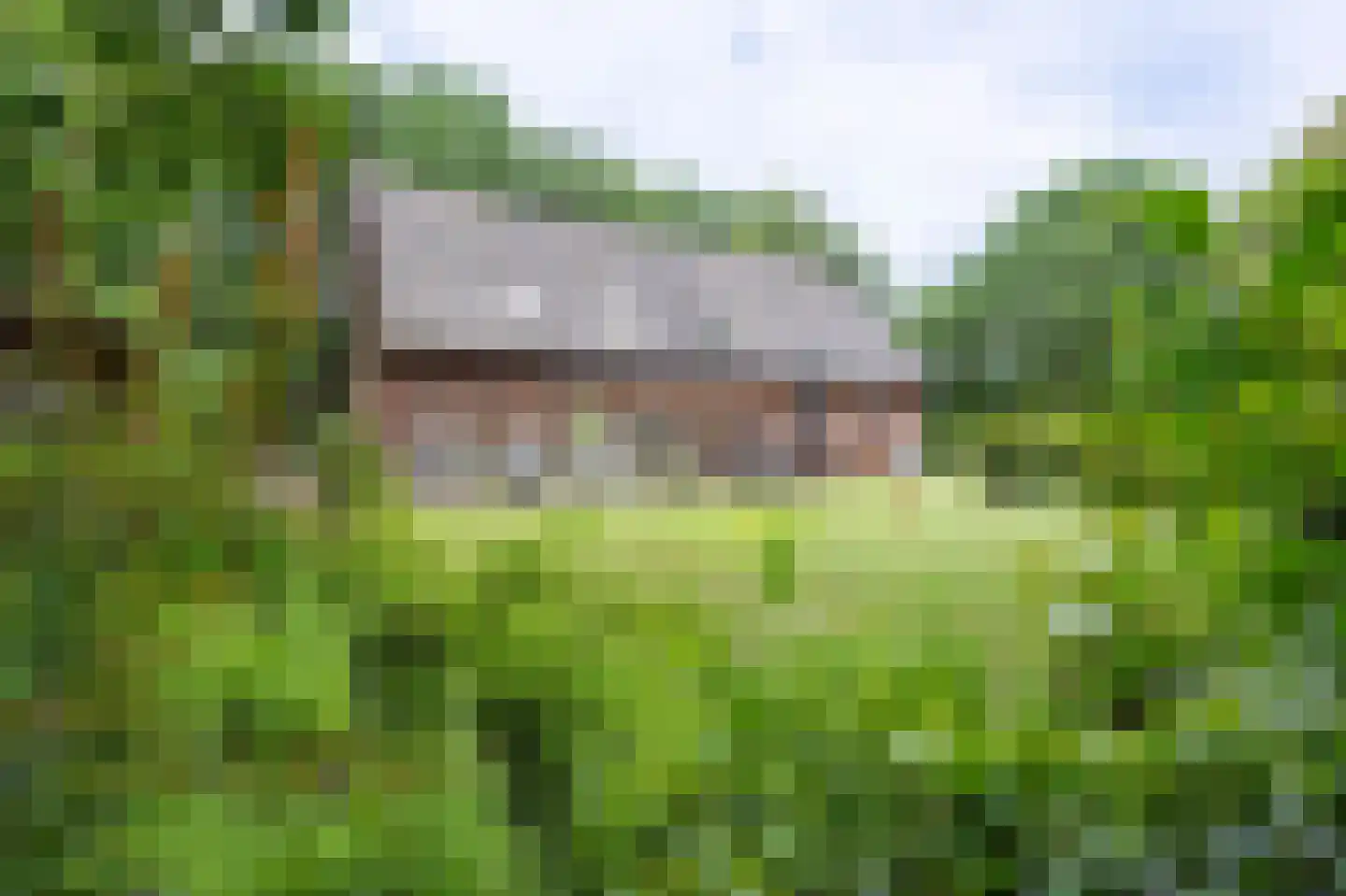 Brandemolen 18 Arcen thumbnail 8