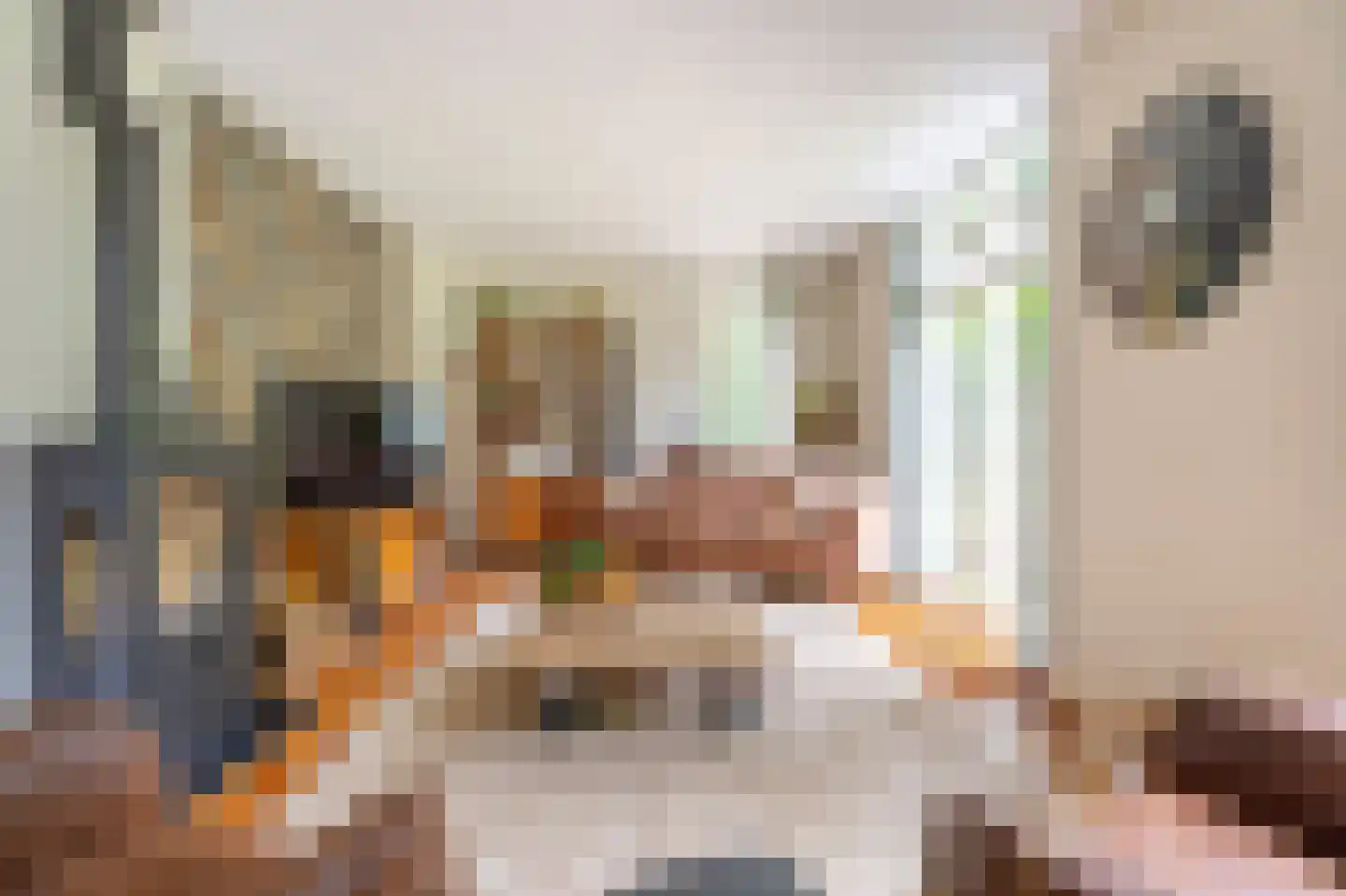 Brandemolen 18 Arcen thumbnail 9