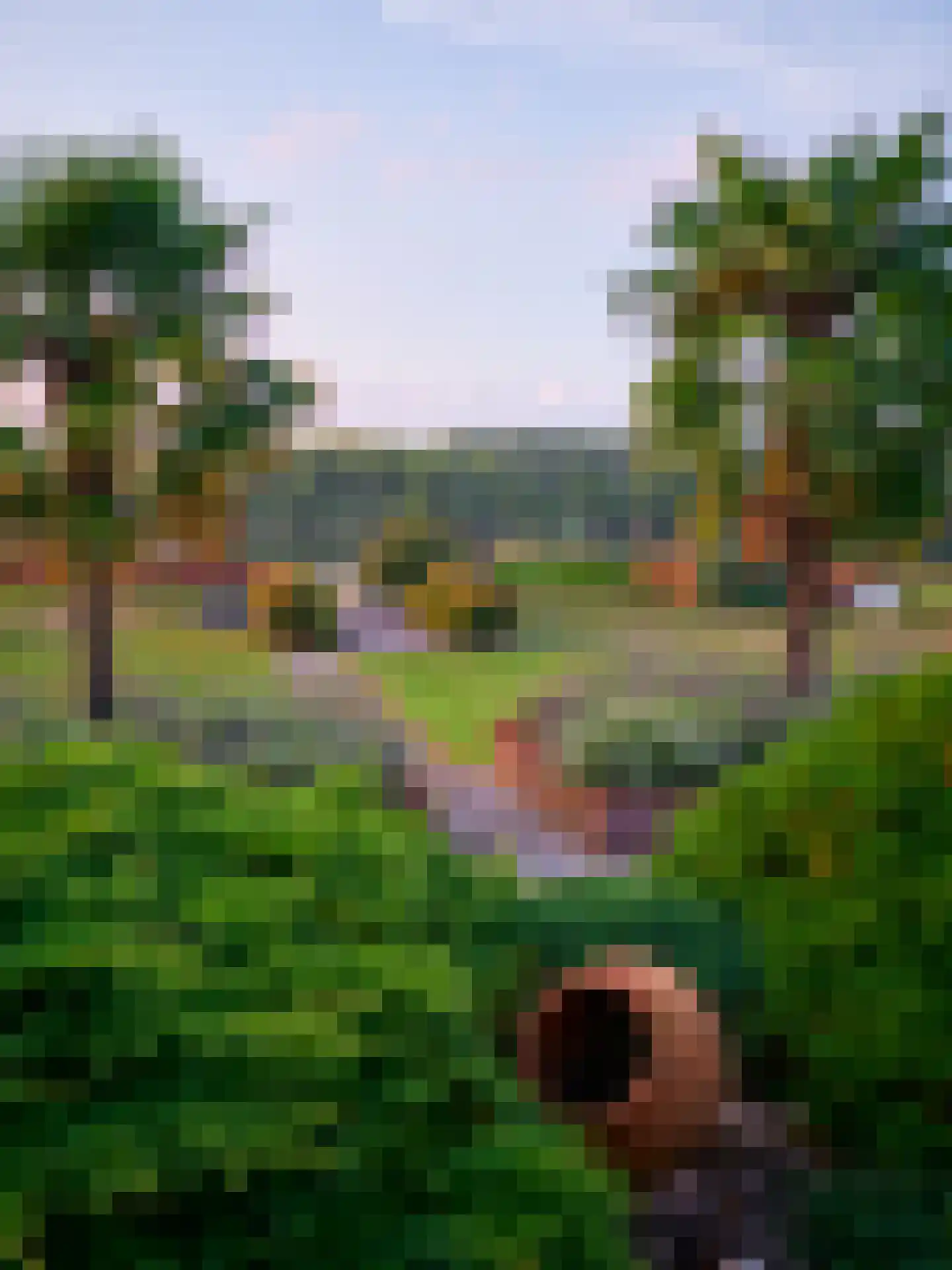 Brandemolen 79 Arcen thumbnail 11