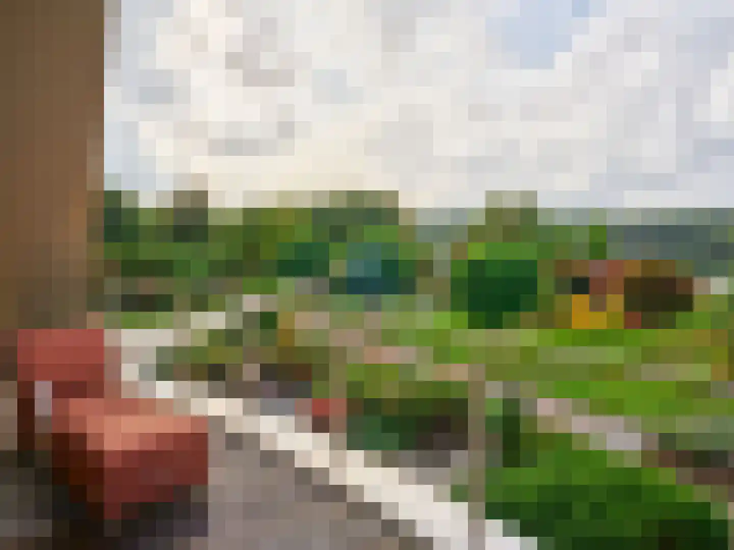 Brandemolen 79 Arcen thumbnail 12