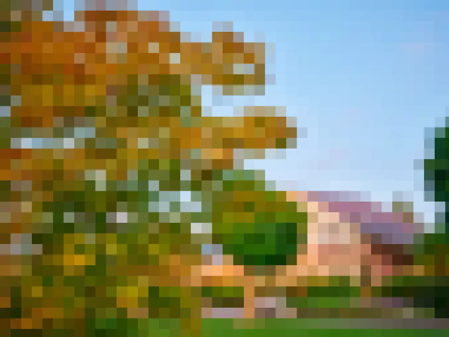 Brandemolen 79 Arcen thumbnail 14