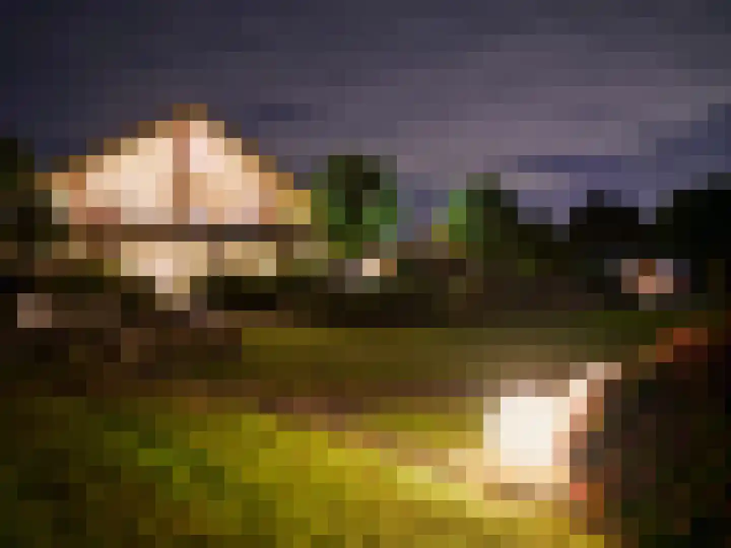 Brandemolen 79 Arcen thumbnail 16