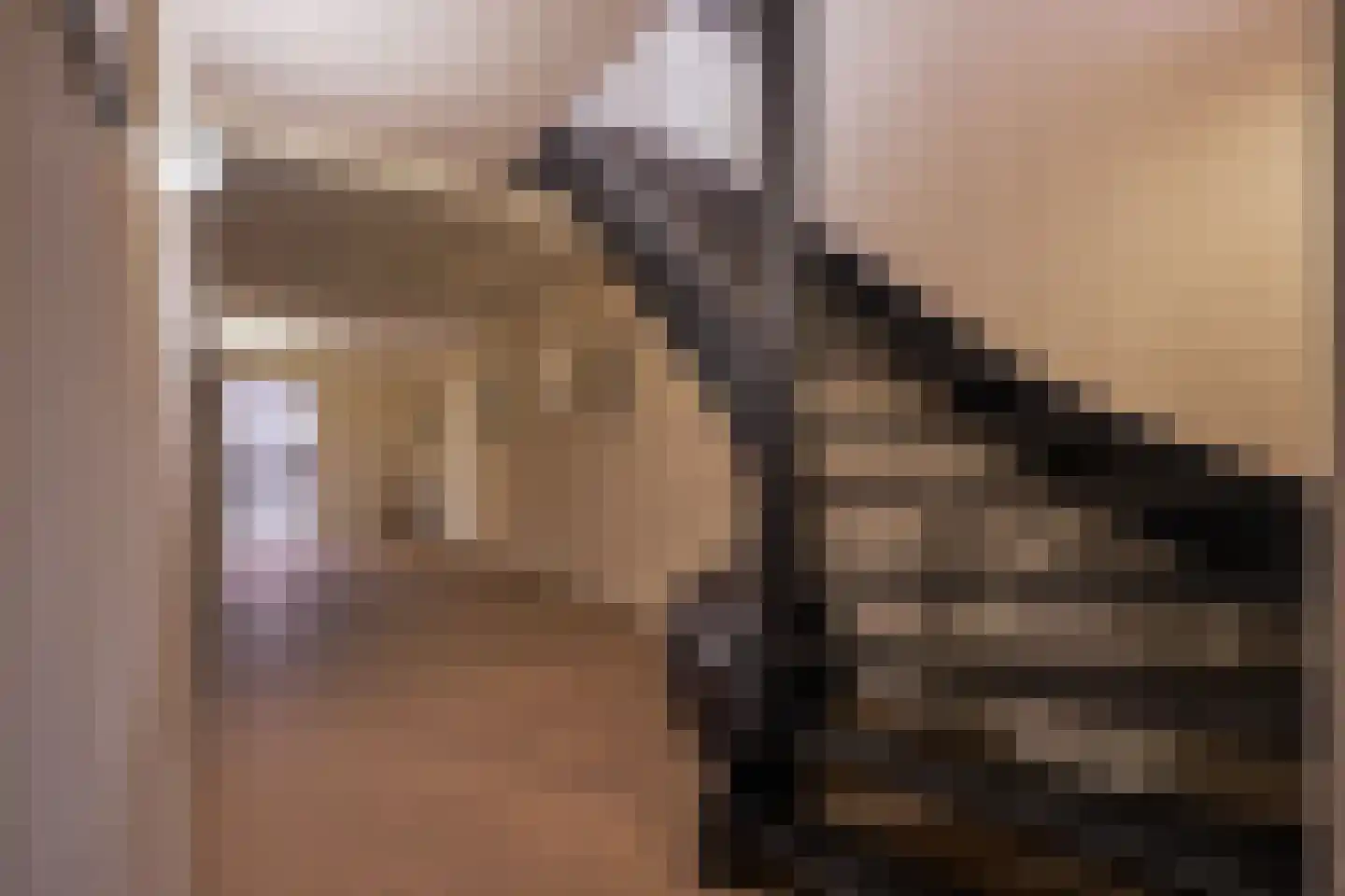 Brandemolen 79 Arcen thumbnail 34