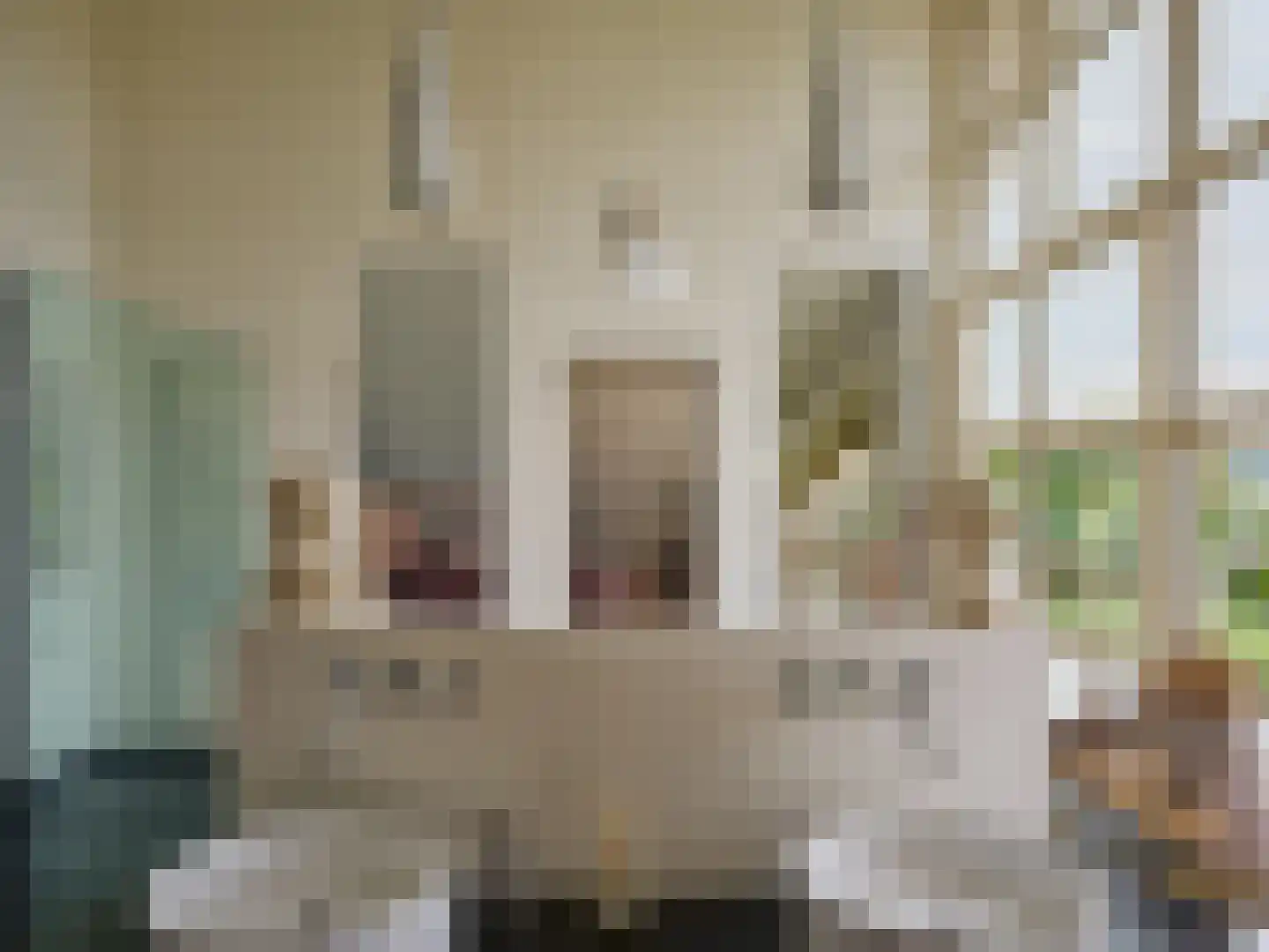 Brandemolen 79 Arcen thumbnail 47