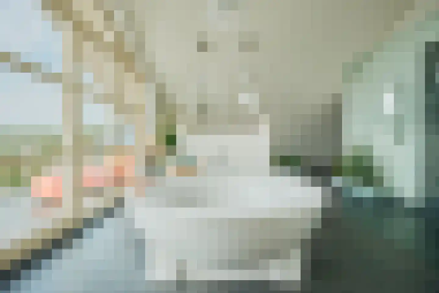 Brandemolen 79 Arcen thumbnail 52