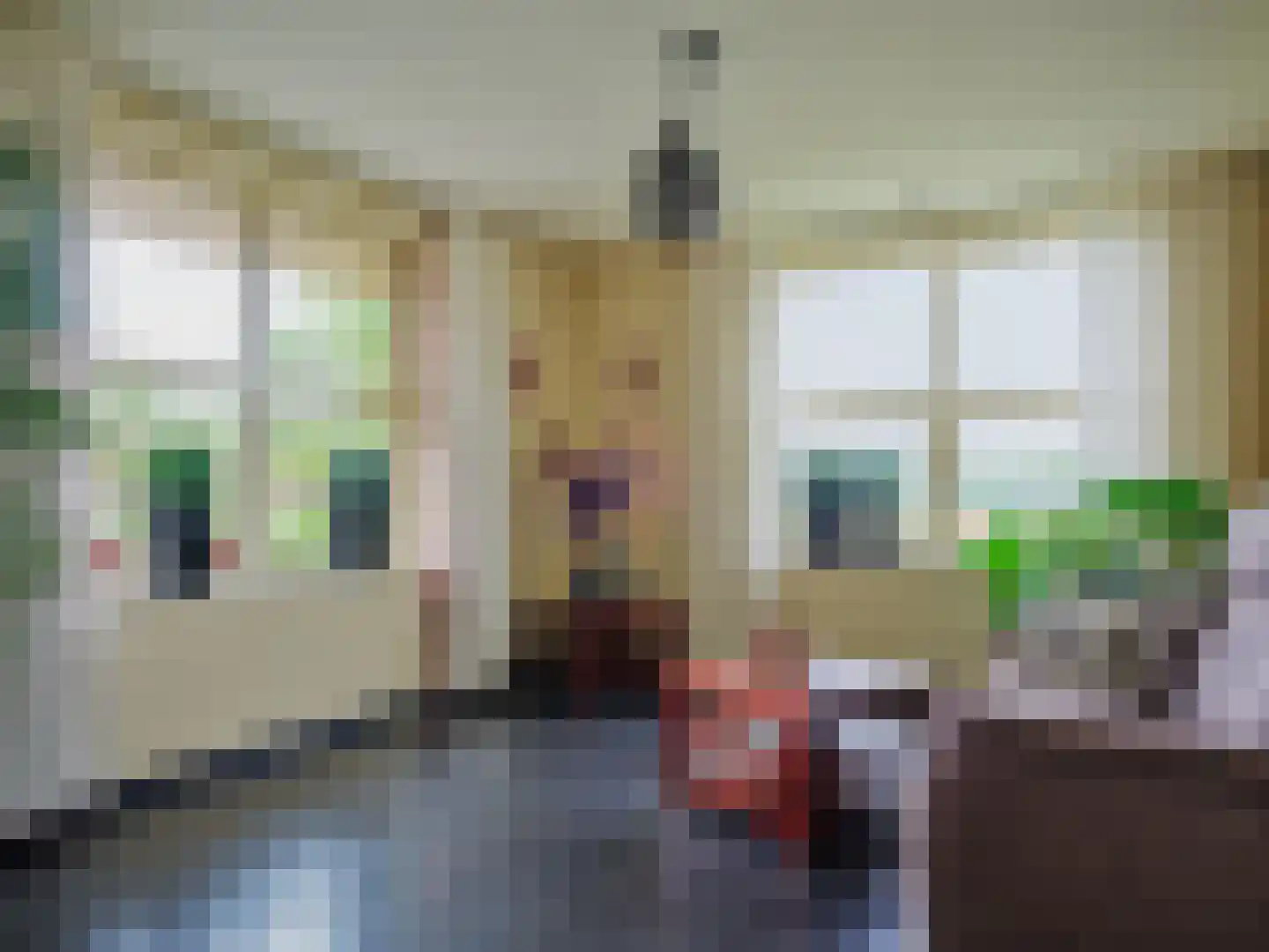 Brandemolen 79 Arcen thumbnail 67