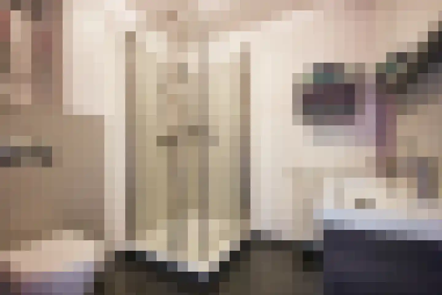 Brandemolen 79 Arcen thumbnail 68