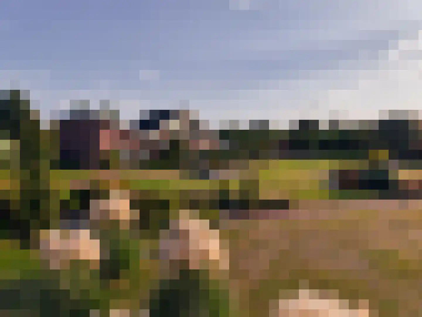 Brandemolen 79 Arcen thumbnail 71