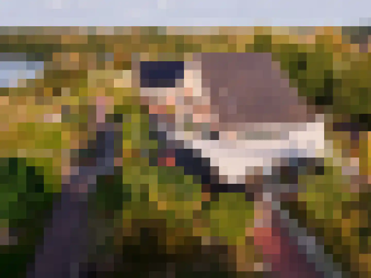 Brandemolen 79 Arcen thumbnail 73
