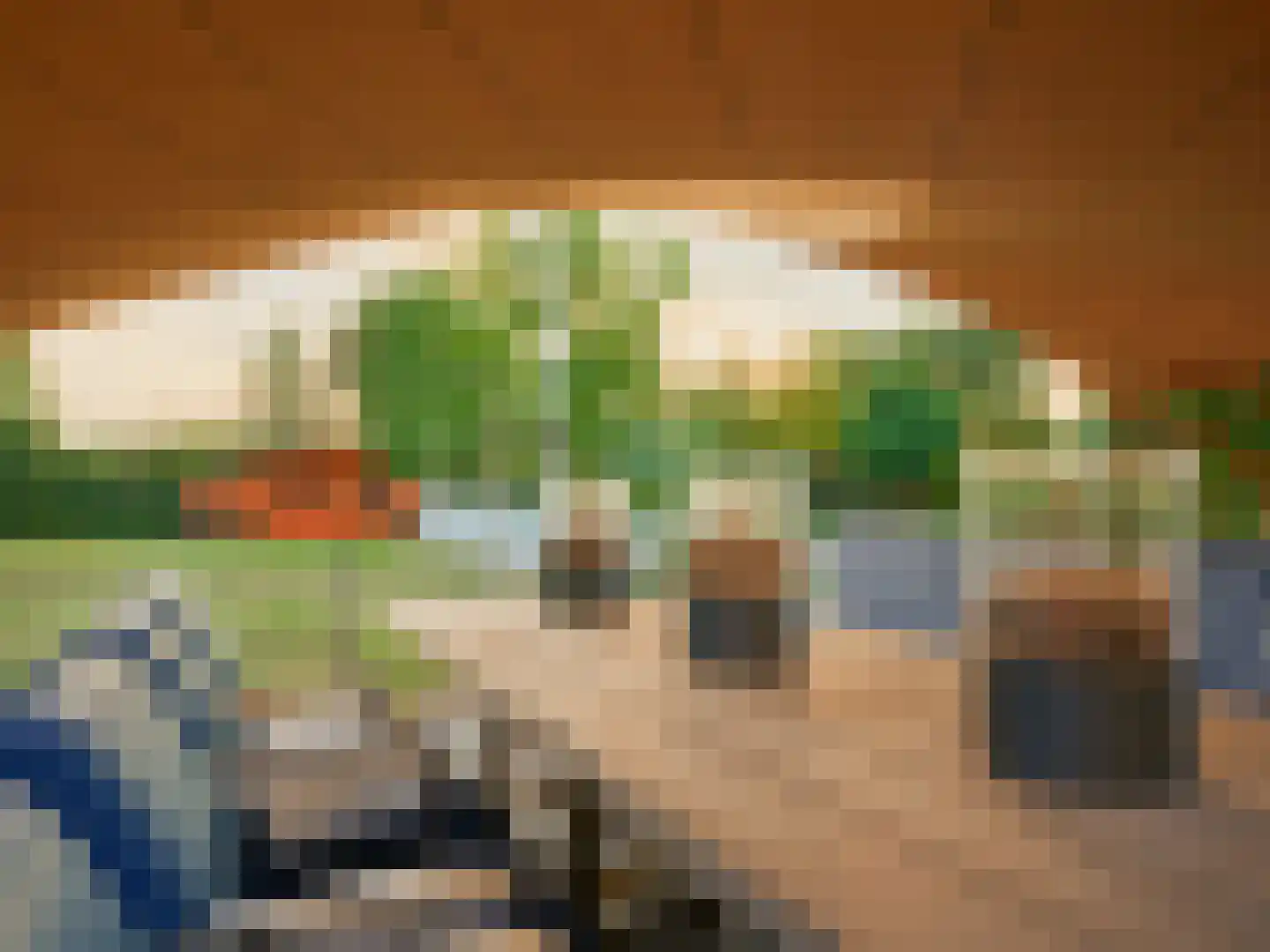 Brandemolen 79 Arcen thumbnail 9
