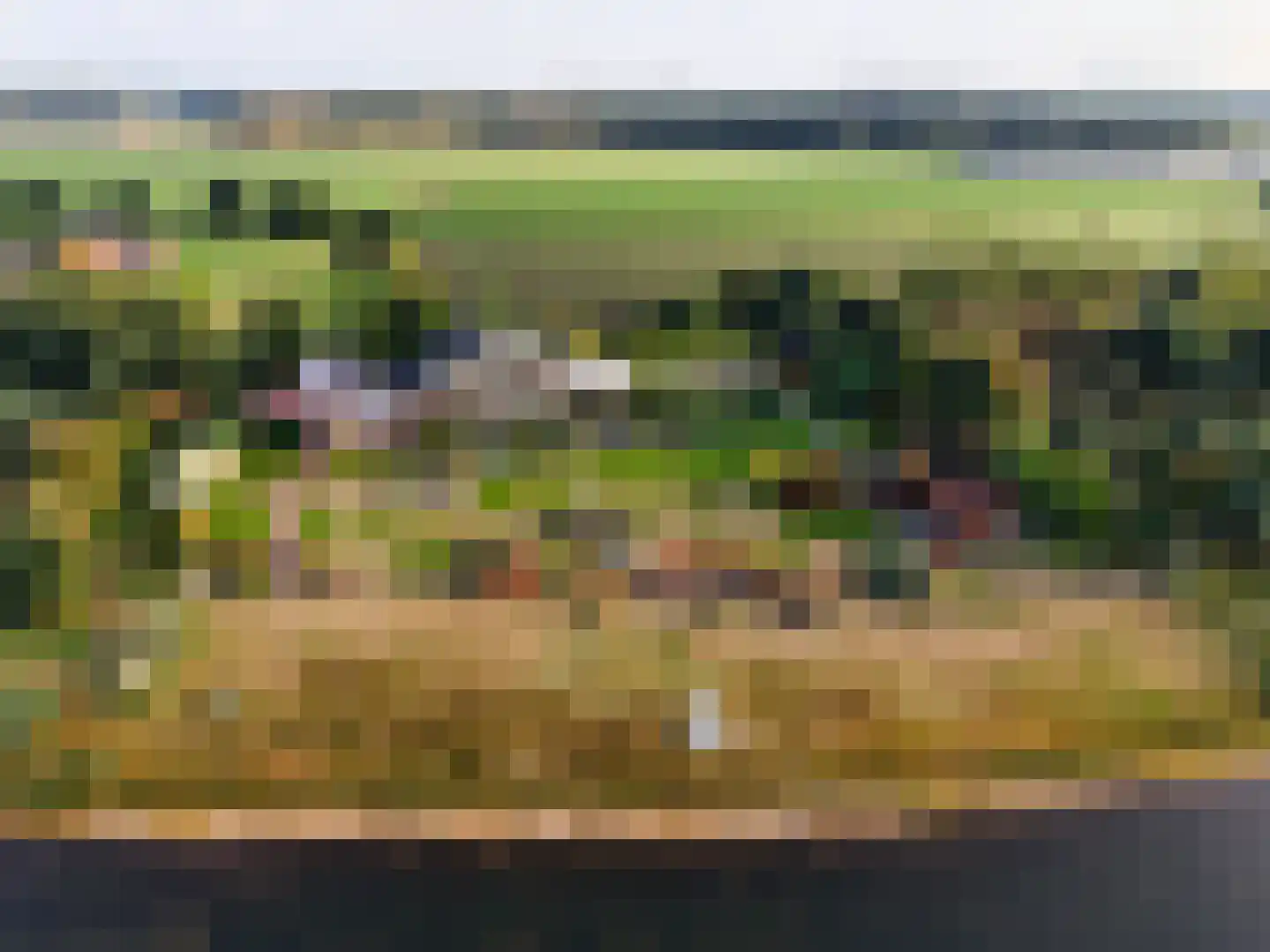 Brandemolen 79 Arcen thumbnail 91