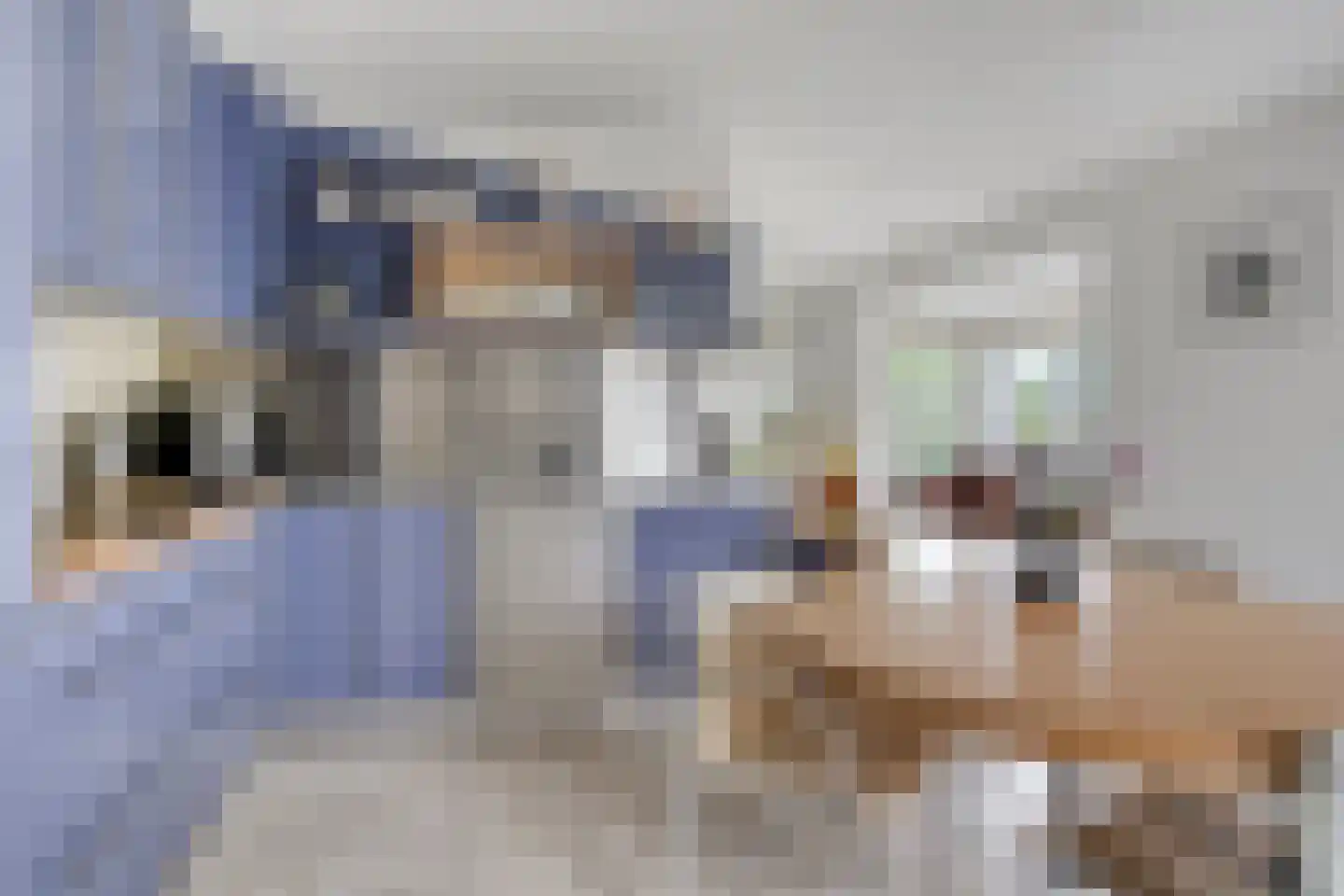 Brandenburg 1 Huissen thumbnail 18