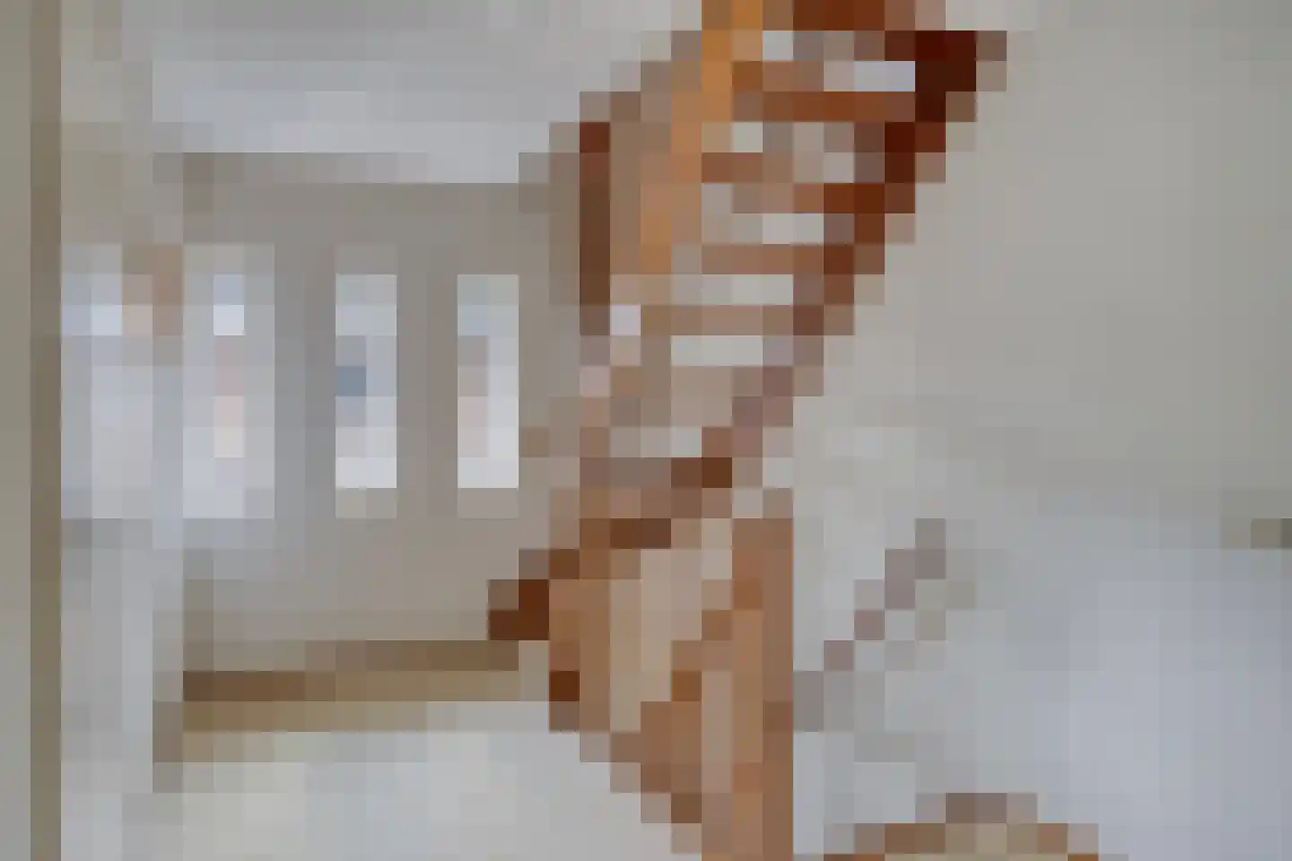 Brandenburg 1 Huissen thumbnail 25