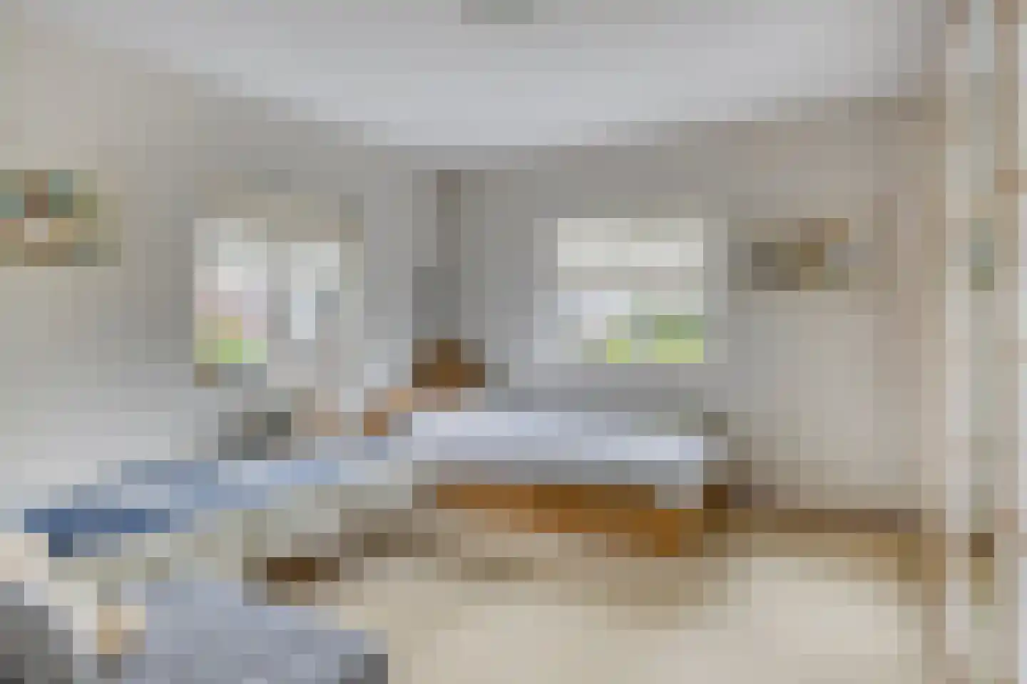Brandenburg 1 Huissen thumbnail 31