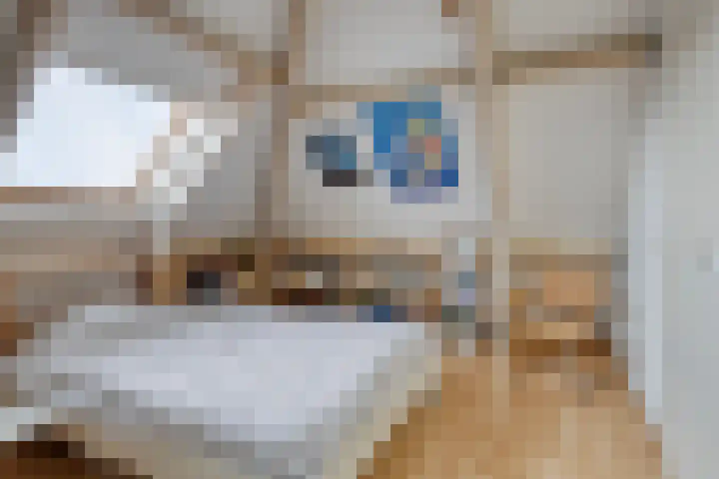 Brandenburg 1 Huissen thumbnail 37