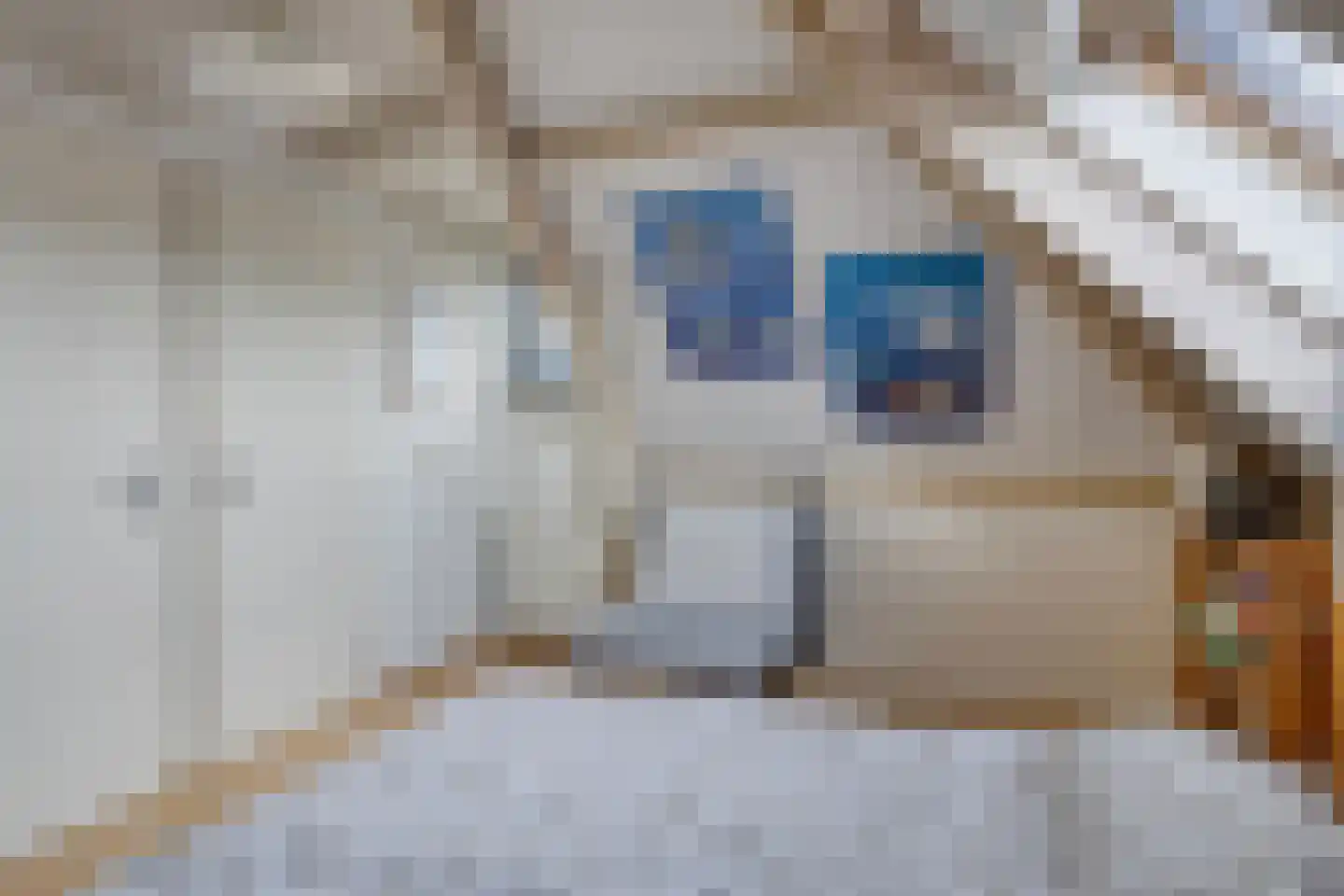 Brandenburg 1 Huissen thumbnail 38