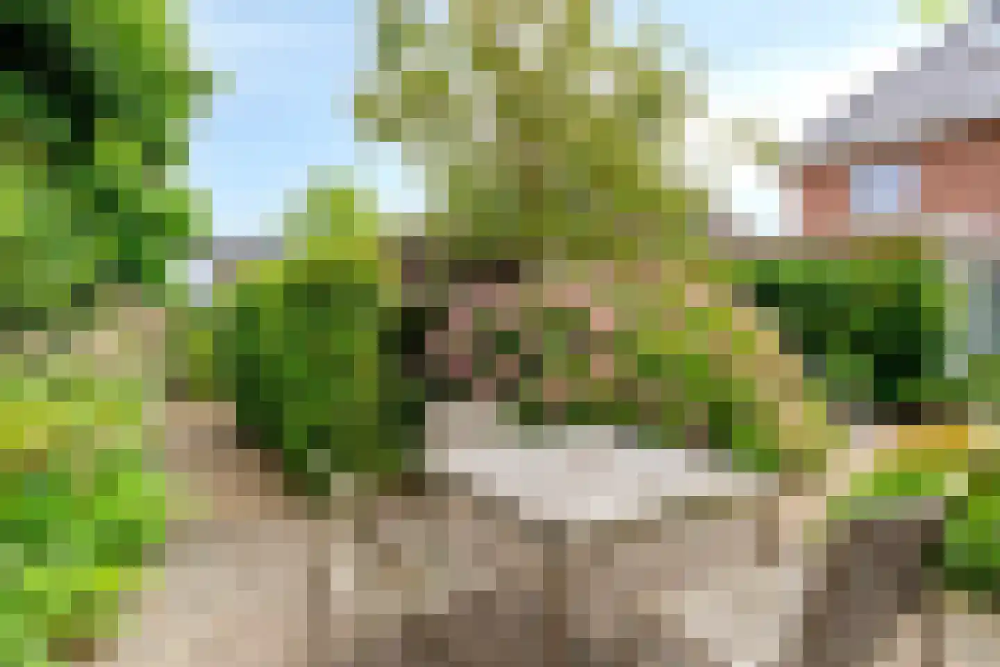 Brandenburg 1 Huissen thumbnail 47