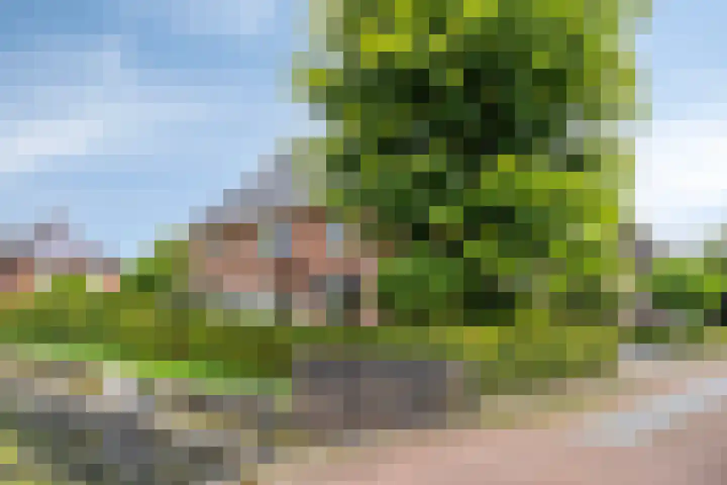 Brandenburg 1 Huissen thumbnail 50