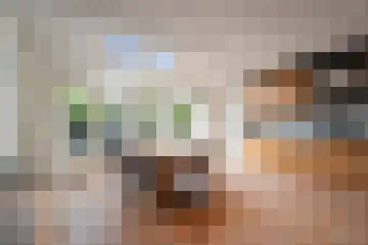 Brandenburg 10 Anna Paulowna thumbnail 15