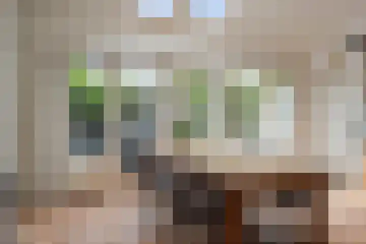 Brandenburg 10 Anna Paulowna thumbnail 16