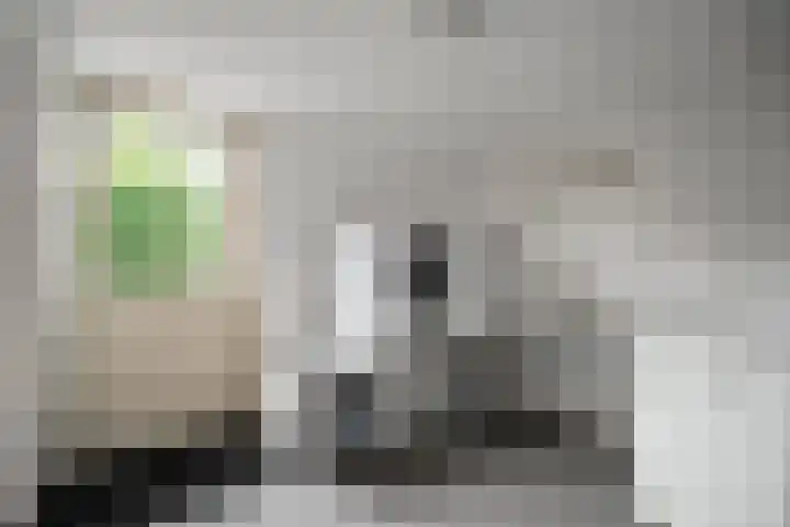 Brandenburg 10 Anna Paulowna thumbnail 19