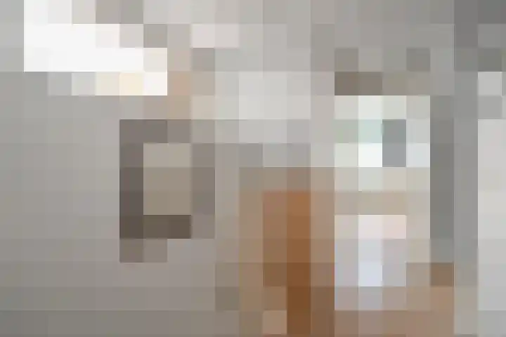 Brandenburg 10 Anna Paulowna thumbnail 26