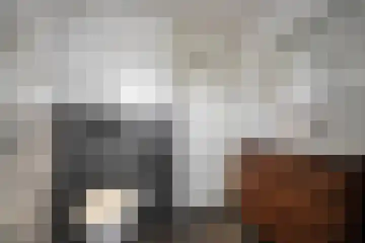 Brandenburg 10 Anna Paulowna thumbnail 27