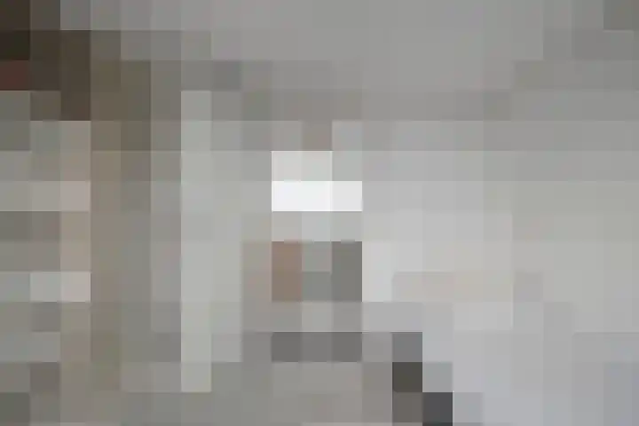 Brandenburg 10 Anna Paulowna thumbnail 34