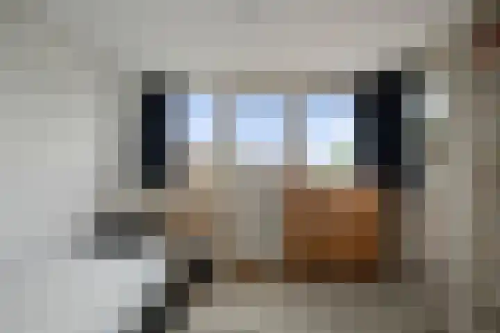 Brandenburg 10 Anna Paulowna thumbnail 35