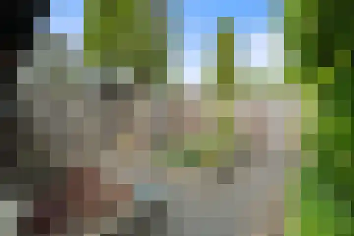 Brandenburg 10 Anna Paulowna thumbnail 39