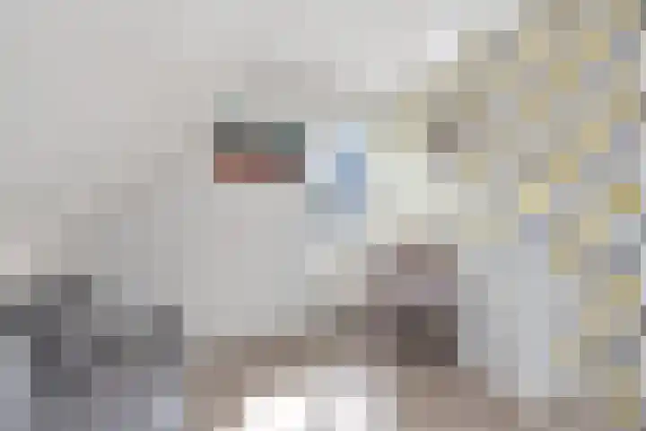 Brandenburg 25 Anna Paulowna thumbnail 22