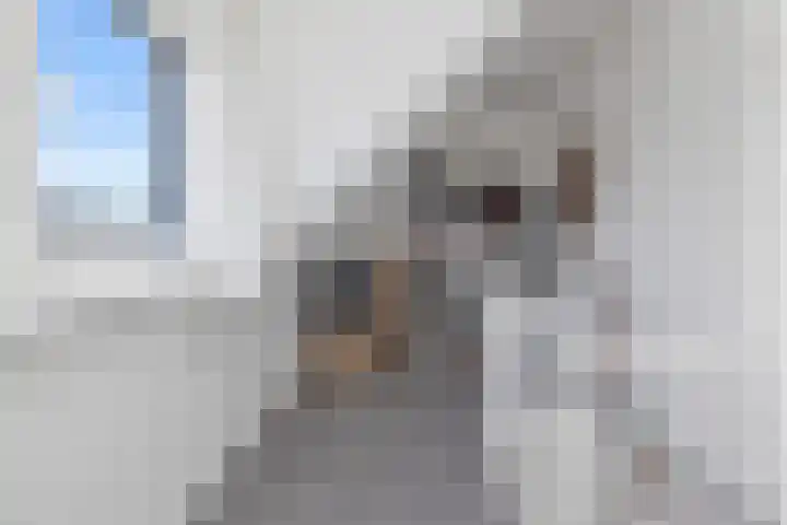 Brandenburg 25 Anna Paulowna thumbnail 29