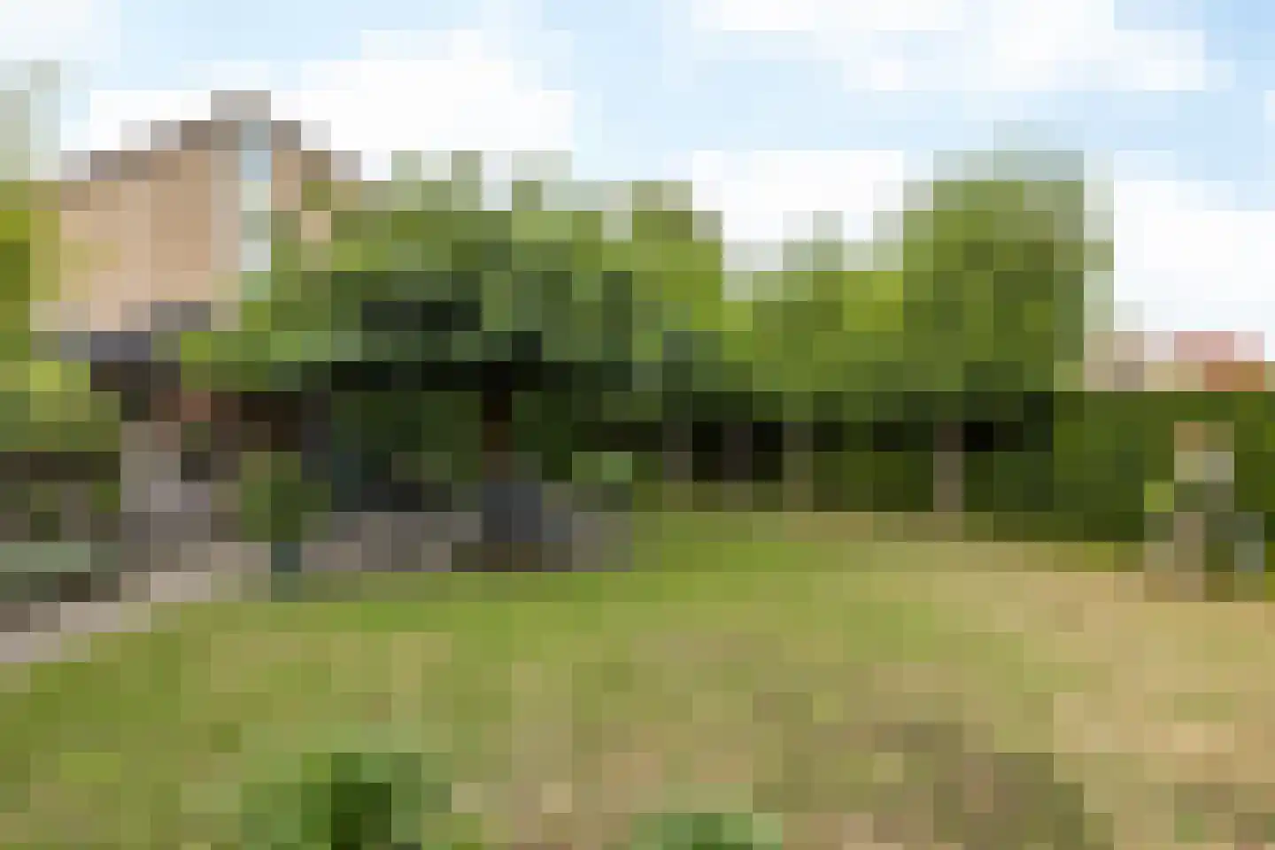 Brandenburg 8 Klimmen thumbnail 40