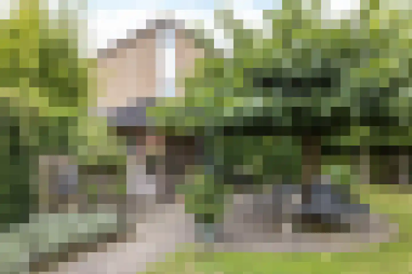 Brandenburg 8 Klimmen thumbnail 41