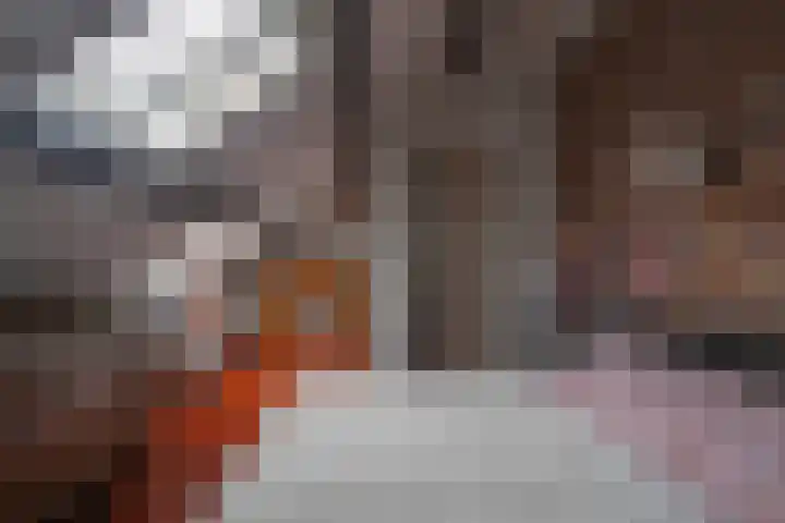 Brandenburgerplein 4 Maastricht thumbnail 18