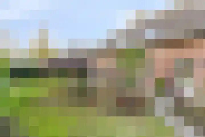 Brandenburglaan 58 Middelburg thumbnail 23