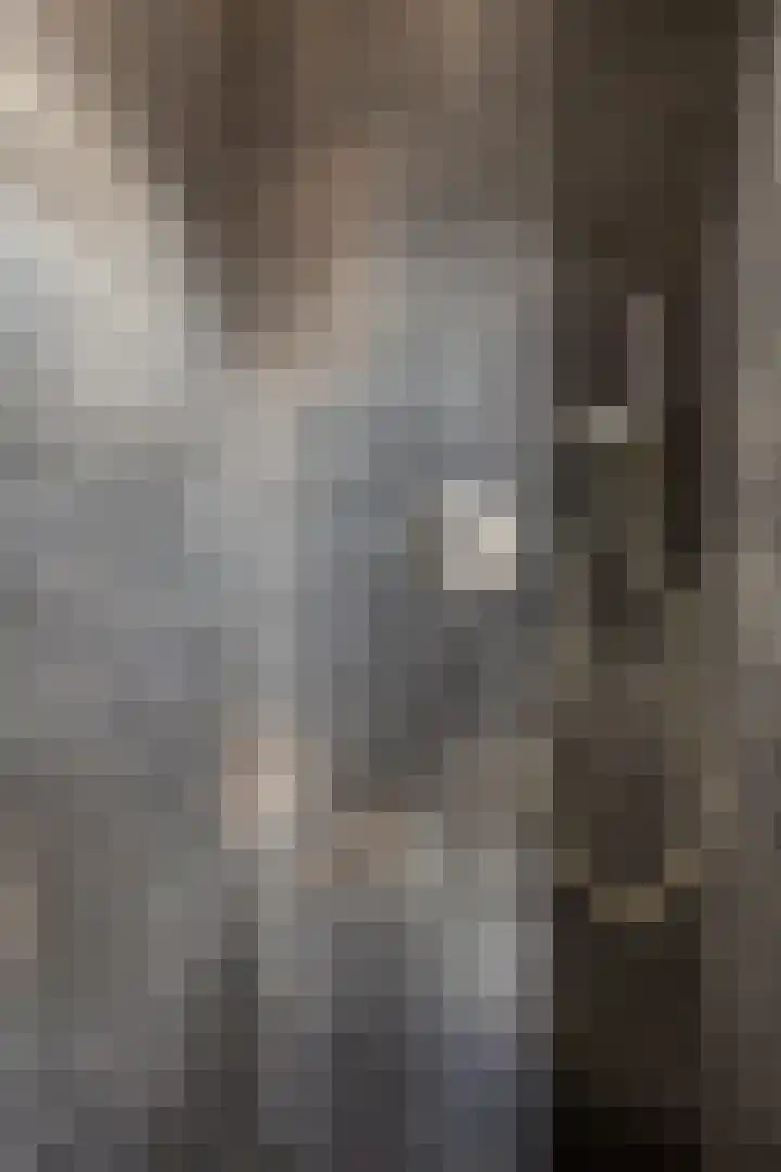 Brandenburgstraat 21 Uden thumbnail 31