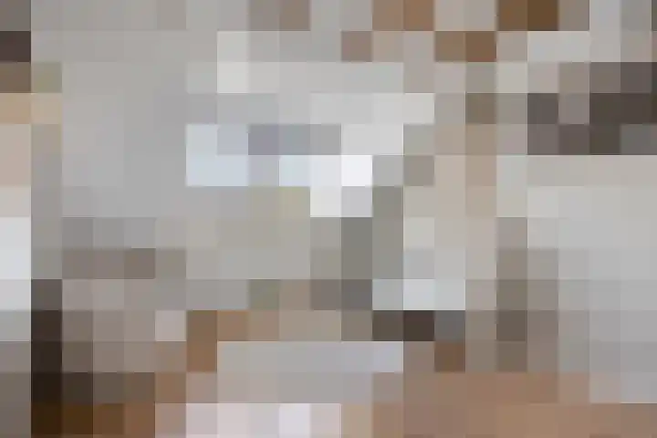 Brandenburgstraat 21 Uden thumbnail 36