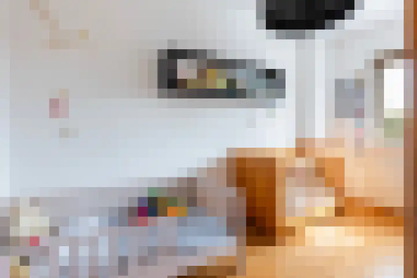Brandenhof 6 Altforst thumbnail 25