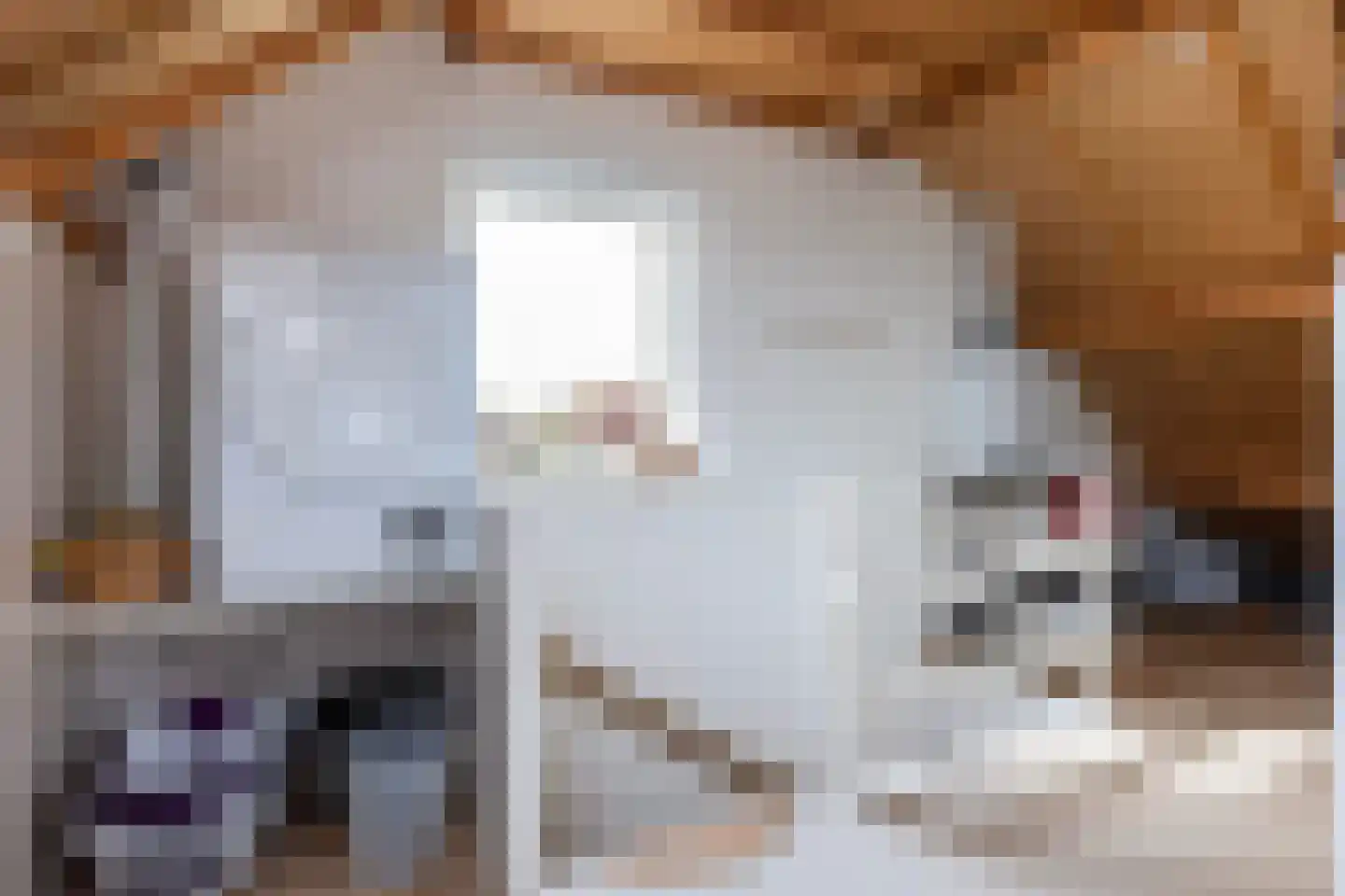 Brandenhof 6 Altforst thumbnail 31
