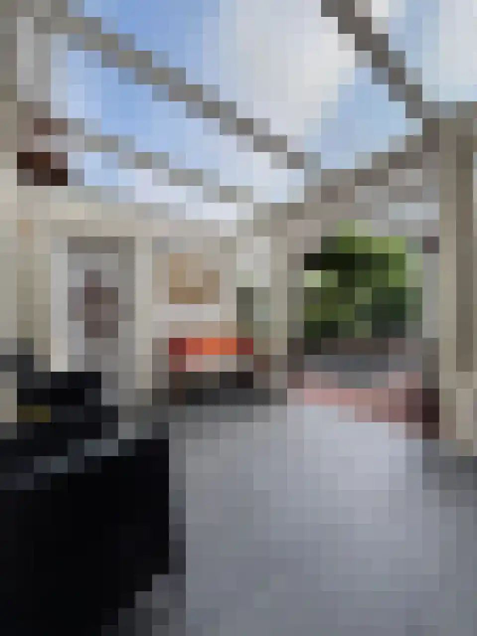 Brandenhof 6 Altforst thumbnail 37