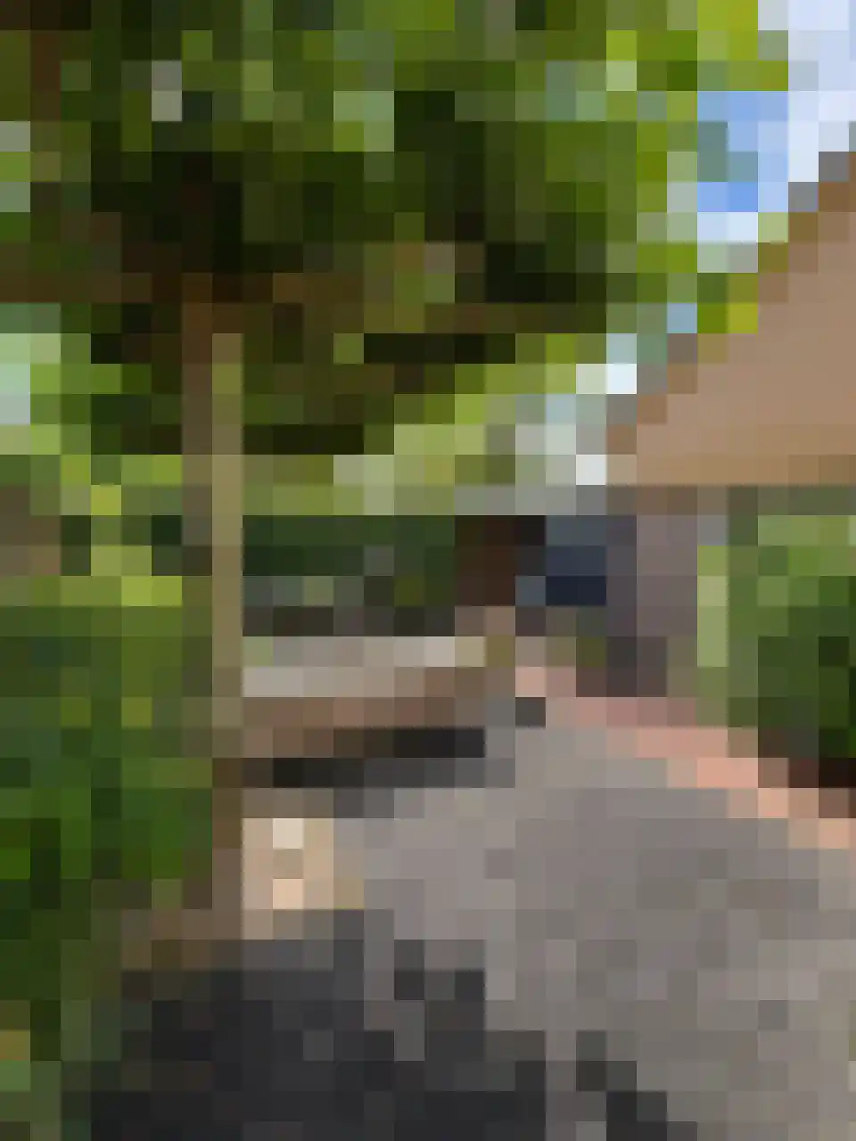 Brandenhof 6 Altforst thumbnail 42
