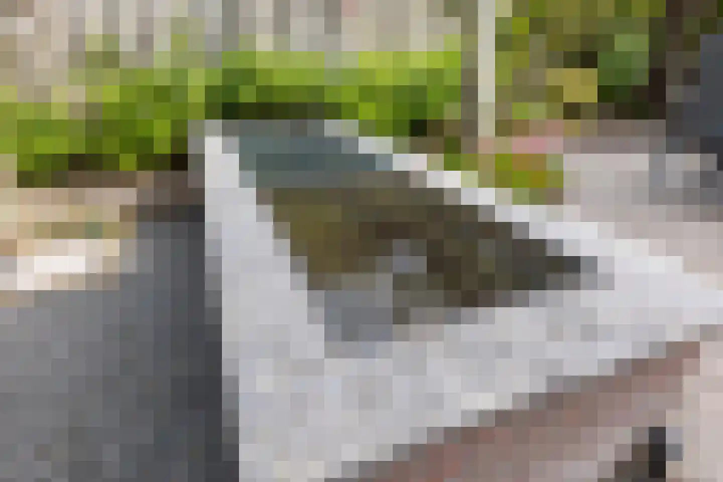 Brandenhof 6 Altforst thumbnail 43