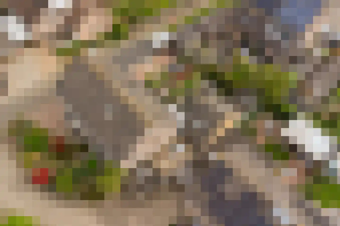 Brandenhof 6 Altforst thumbnail 45