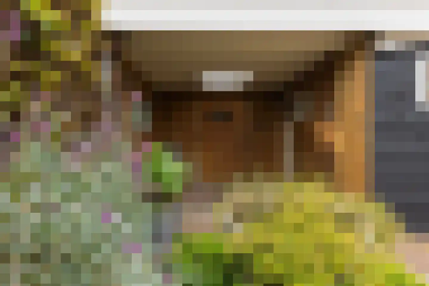 Brandenhof 6 Altforst thumbnail 45