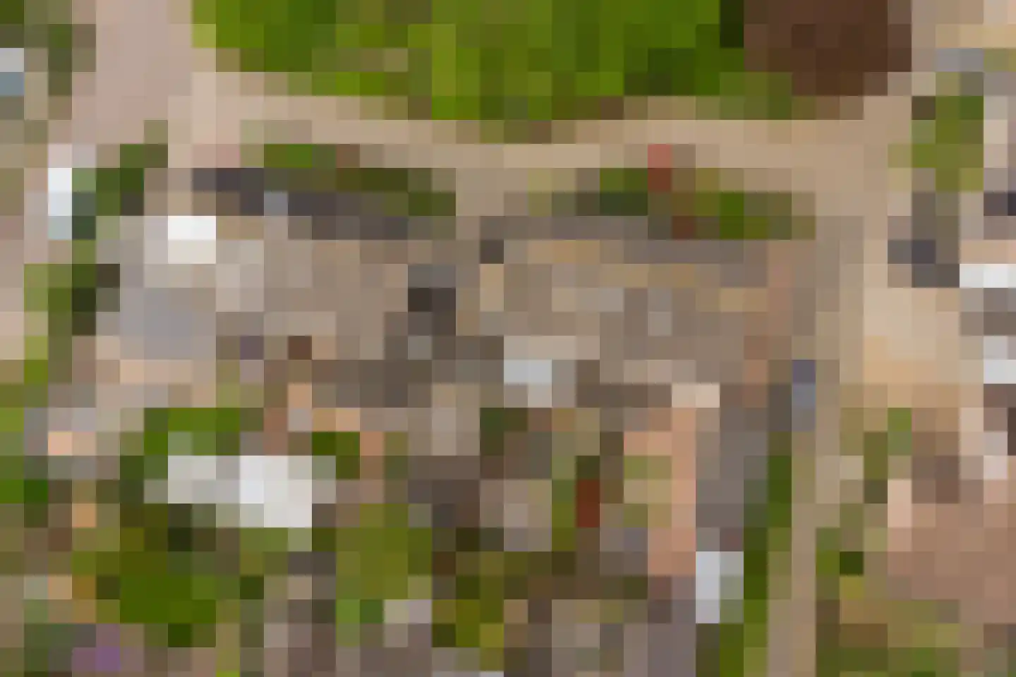 Brandenhof 6 Altforst thumbnail 46