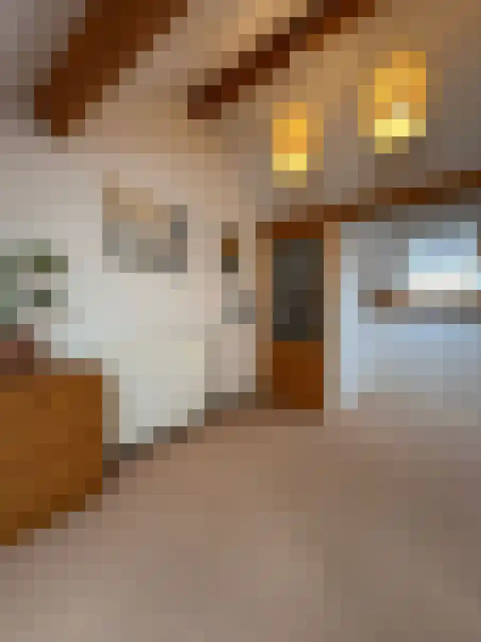 Brandenhof 6 Altforst thumbnail 48