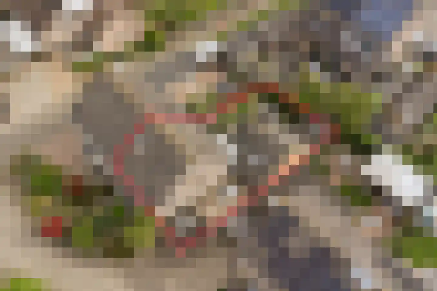 Brandenhof 6 Altforst thumbnail 53